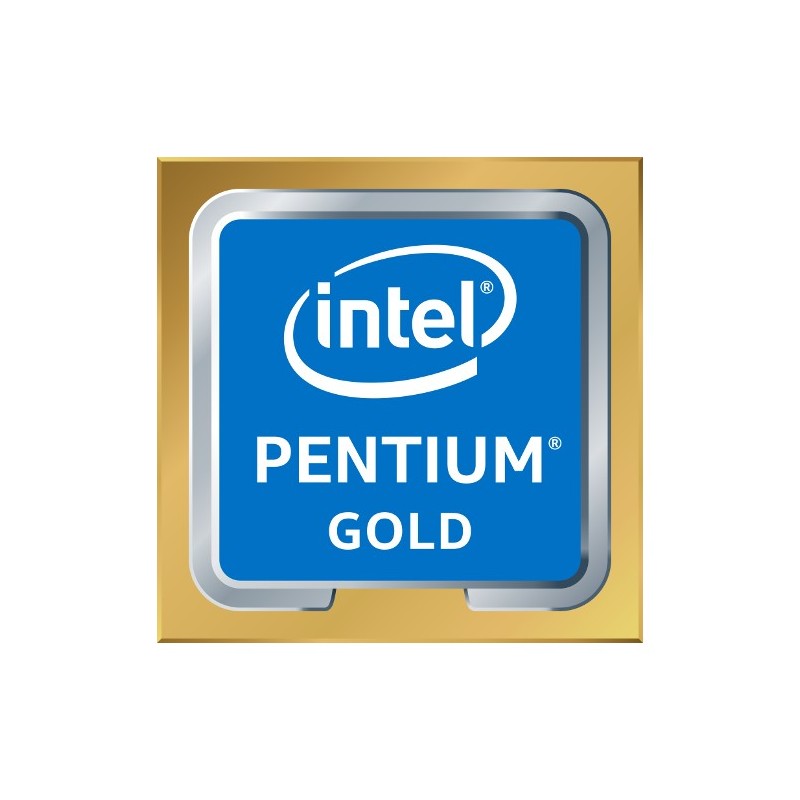Intel Pentium Gold G6600 processore 4,2 GHz 4 MB Cache intelligente Scatola