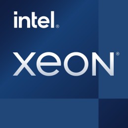 Intel Xeon W-3365 processore 2,7 GHz 48 MB