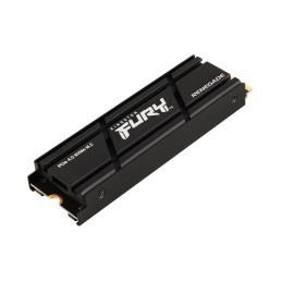 Kingston Technology 4000G RENEGADE PCIe 4.0 NVMe SSD W  Dissipatore di calore