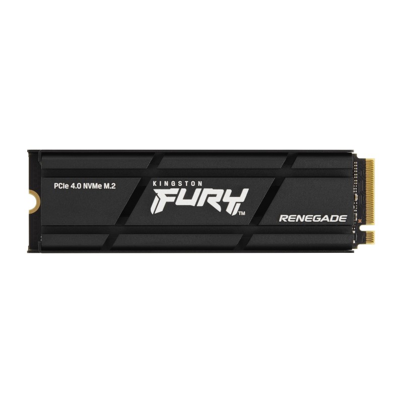 Kingston Technology 1000G RENEGADE PCIe 4.0 NVMe SSD W  Dissipatore di calore